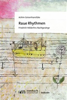 Achim Geisenhanslüke - Raue Rhythmen