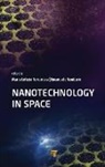 Emanuela Tamburri, Maria Letizia Terranova - Nanotechnology in Space