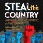 Alexandra Styron, Amy Mcfadden - Steal This Country: A Handbook for Resistance, Persistence, and Fixing Almost Everything (Audio book)