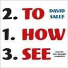 David Salle, Eric Michael Summerer - How to See Lib/E: Looking, Talking, and Thinking about Art (Audio book)
