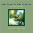 Kenneth Grahame, John Rayburn - The Wind in the Willows Lib/E (Audio book)