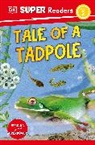 DK - DK Super Readers Level 2 Tale of a Tadpole