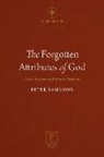 Peter Sammons - The Forgotten Attributes of God