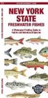 Matthew Morris, Waterford Press, Leung Raymond Leung Raymond - New York State Freshwater Fishes