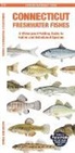 Matthew Morris, Waterford Press, Raymond Leung, Leung Raymond Leung Raymond - Connecticut Freshwater Fishes