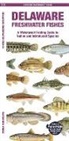 Matthew Morris, Waterford Press, Raymond Leung, Leung Raymond Leung Raymond - Delaware Freshwater Fishes