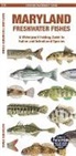 Matthew Morris Matthew Morris, Waterford Press, Raymond Leung, Leung Raymond Leung Raymond - Maryland Freshwater Fishes