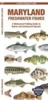 Matthew Morris Matthew Morris, Waterford Press, Raymond Leung, Leung Raymond Leung Raymond - Maryland Freshwater Fishes