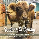 Renee M Rutledge, Renee M. Rutledge, Ackerman, Leslie Ackerman - Buckley the Highland Cow and Ralphy the Goat