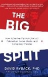 David Ryback - The Big Split