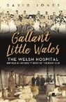 David Jones - Gallant Little Wales