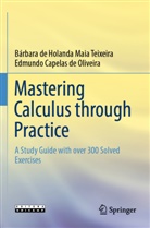 Capelas de Olive, Edmundo Capelas de Oliveira, Bárbara de Holanda Maia Teixeira - Mastering Calculus through Practice