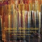 John Mowry - Natural Abstractions