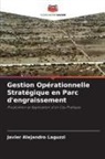 Javier Alejandro Laguzzi - Gestion Opérationnelle Stratégique en Parc d'engraissement