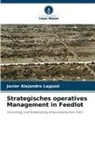 Javier Alejandro Laguzzi - Strategisches operatives Management in Feedlot