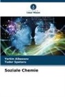 Yerkin Aibassov, Tudor Spataru - Soziale Chemie