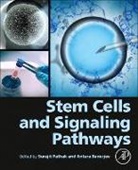 Antara Banerjee, Antara (Associate Professor Banerjee, Banerjee Antara, Surajit Pathak - Stem Cells and Signaling Pathways