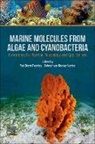 Dakeshwar Kumar Verma, Paz Otero Fuertes, Paz Otero (Senior Researcher Fuertes, Paz Otero Fuertes, Dakeshwar Kumar Verma, Dakeshwar Kumar (Department of Chemistry Verma - Marine Molecules from Algae and Cyanobacteria