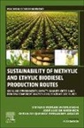 José Luiz de Medeiros, Jose Luiz (Professor de Medeiros, Ofelia de Queiroz (Professor Fernandes Araujo, Ofélia de Queiroz Fernandes Araújo, Stefano Ferrari Interlenghi, Stefano Ferrari (Researcher Interlenghi... - Sustainability of Methylic and Ethylic Biodiesel Production Routes