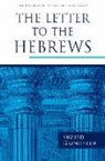 Sigurd Grindheim - The Letter to the Hebrews