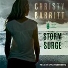 Christy Barritt, Dara Rosenberg - Storm Surge Lib/E (Audio book)