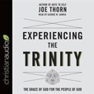 George W. Sarris, Joe Thorn, George W. Sarris - Experiencing the Trinity Lib/E: The Grace of God for the People of God (Audio book)