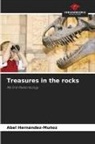 Abel Hernández-Muñoz - Treasures in the rocks