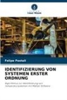 Felipe Postali - IDENTIFIZIERUNG VON SYSTEMEN ERSTER ORDNUNG