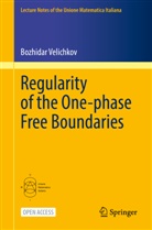 Bozhidar Velichkov - Regularity of the One-phase Free Boundaries