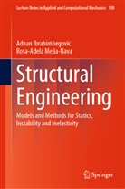 Adnan Ibrahimbegovic, Rosa-Adela Mejia-Nava - Structural Engineering