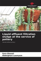 Sara Ghazali, Abdelghani Laamyem - Liquid effluent filtration sludge at the service of pottery