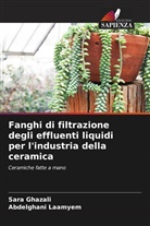 Sara Ghazali, Abdelghani Laamyem - Fanghi di filtrazione degli effluenti liquidi per l'industria della ceramica