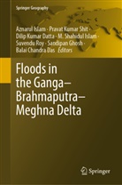 Balai Chandra Das, Dilip Kumar Datta, Sandipan Ghosh, Aznarul Islam, M. Shahidul Islam, Dilip Kumar Datta et al... - Floods in the Ganga-Brahmaputra-Meghna Delta