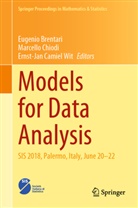 Eugenio Brentari, Ernst-Jan Camiel Wit, Marcello Chiodi, Ernst-Jan Camiel Wit - Models for Data Analysis