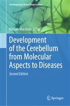 Hassan Marzban - Development of the Cerebellum from Molecular Aspects to Diseases