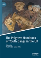 Paul Andell, Pitts, John Pitts - The Palgrave Handbook of Youth Gangs in the UK