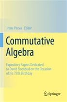 Irena Peeva - Commutative Algebra