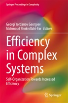 Georgi Yordanov Georgiev, Shokrollahi-Far, Mahmoud Shokrollahi-Far, Georgi Yordanov Georgiev - Efficiency in Complex Systems
