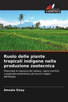 Amsalu Sisay - Ruolo delle piante tropicali indigene nella produzione zootecnica