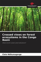 Imelda Ndihokubwayo, Cleto Ndikumagenge - Crossed views on forest ecosystems in the Congo Basin