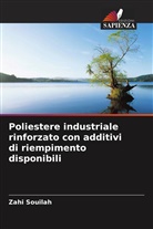 Y. Mebdoua, Zahi Souilah - Poliestere industriale rinforzato con additivi di riempimento disponibili