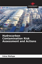 Irène Mafopa - Hydrocarbon Contamination Risk Assessment and Actions