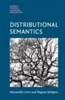 Alessandro Lenci, Alessandro (Universita Degli Studi Lenci, Alessandro (Universita DI Pisa) Sahlgren Lenci, Lenci Alessandro, Magnus Sahlgren - Distributional Semantics