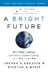 Joshua S. Goldstein, Staffan A. Qvist - A Bright Future