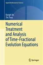 Bangti Jin, Zhi Zhou - Numerical Treatment and Analysis of Time-Fractional Evolution Equations