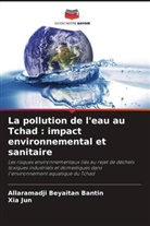 Allaramadji Beyaitan Bantin, Xia Jun - La pollution de l'eau au Tchad : impact environnemental et sanitaire