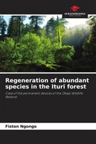 Fiston Ngongo - Regeneration of abundant species in the Ituri forest