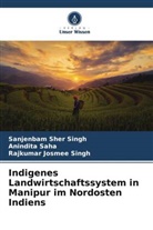 Anindita Saha, Rajkum Singh, Rajkumar Josmee Singh, Sanjenbam Sher Singh - Indigenes Landwirtschaftssystem in Manipur im Nordosten Indiens