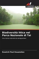 Essetchi Paul Kouamélan - Biodiversità ittica nel Parco Nazionale di Tai