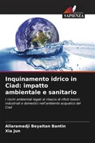 Allaramadji Beyaitan Bantin, Xia Jun - Inquinamento idrico in Ciad: impatto ambientale e sanitario